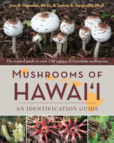 Cover image for Mushrooms of Hawai'i: An Identification Guide