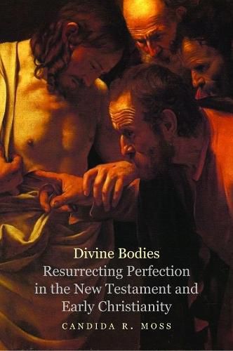 Cover image for Divine Bodies: Resurrecting Perfection in the New Testament and Early Christianity