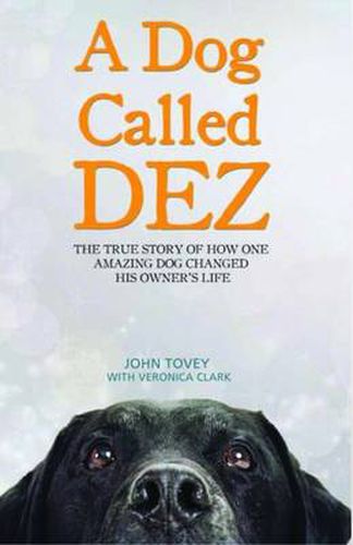 Cover image for A Dog Called Dez