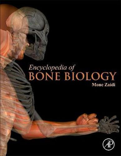 Cover image for Encyclopedia of Bone Biology