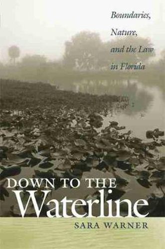 Cover image for Down to the Waterline: Boundaries, Nature, and the Law in Florida