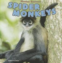 Cover image for Spider Monkeys