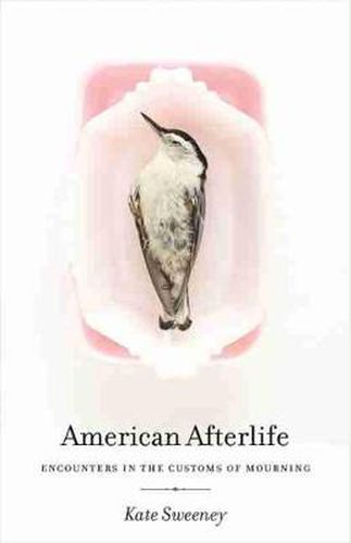 American Afterlife: Encounters in the Customs of Mourning