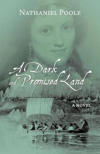 Cover image for A Dark and Promised Land