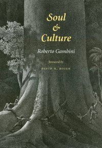 Cover image for Soul and Culture