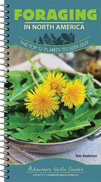 Cover image for Foraging in North America: The Top 12 Plants to Seek Out