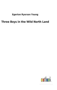 Cover image for Three Boys in the Wild North Land