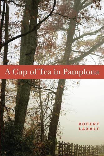 Cover image for A Cup of Tea in Pamplona: A Novella