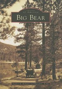 Cover image for Big Bear