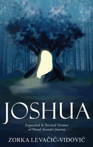 Cover image for Joshua