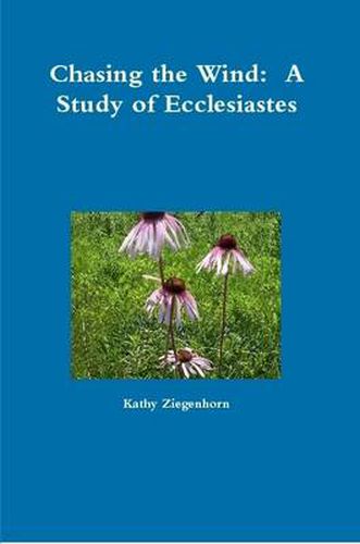 Cover image for Chasing the Wind: A Study of Ecclesiastes
