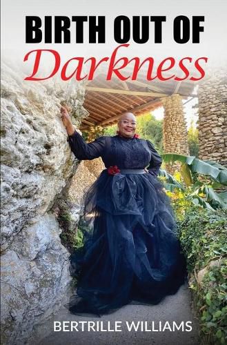 Cover image for Birth Out Of Darkness