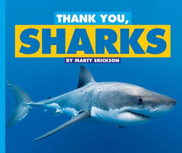 Cover image for Thank You, Sharks