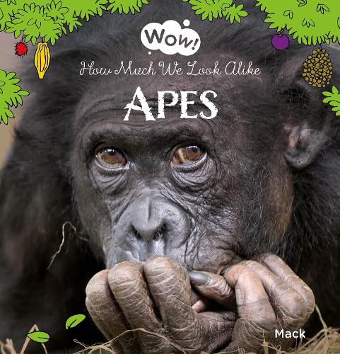 Cover image for Wow! Apes. How Much We Look Alike