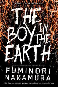Cover image for The Boy In The Earth