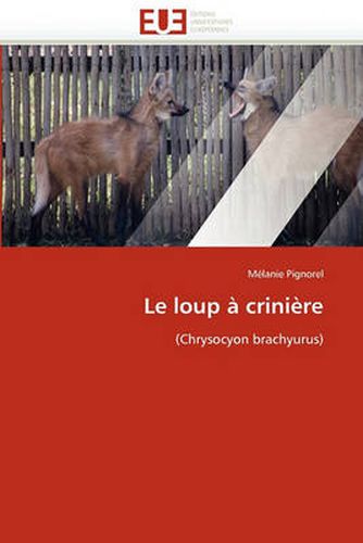 Cover image for Le Loup Crini Re