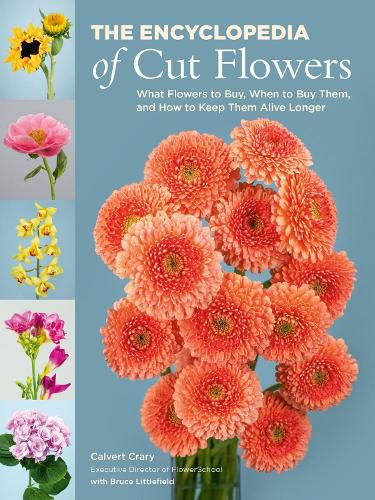 Cover image for The Encyclopedia of Cut Flowers