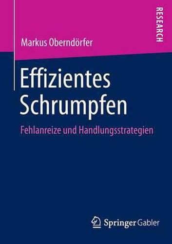 Cover image for Effizientes Schrumpfen: Fehlanreize und Handlungsstrategien