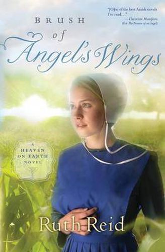 Cover image for Brush of Angel's Wings