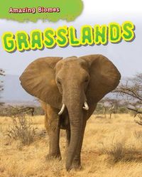 Cover image for Grasslands