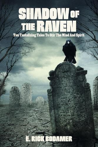 Cover image for Shadow Of The Raven