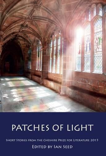 Cover image for Patches of Light