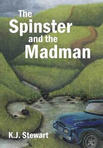 Cover image for The Spinster and the Madman