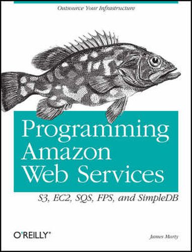 Cover image for Programming Amazon Web Services