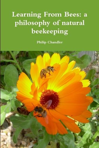 Cover image for Learning From Bees