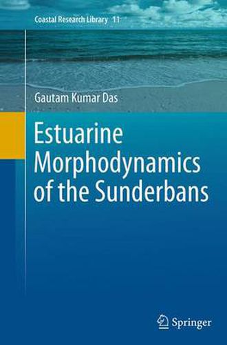 Cover image for Estuarine Morphodynamics of the Sunderbans