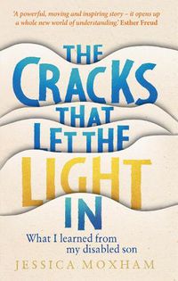 Cover image for The Cracks that Let the Light In: What I learned from my disabled son