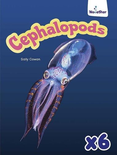 Cephalopods x 6