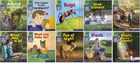 Cover image for Read Write Inc. Phonics Book Bag Books: Set 5 Yellow: Non-Fiction Pack of 100