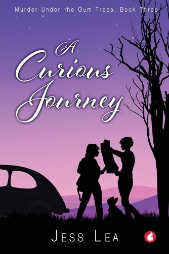 Cover image for A Curious Journey