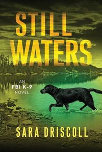 Cover image for Still Waters