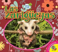 Cover image for Las Zarigueyas