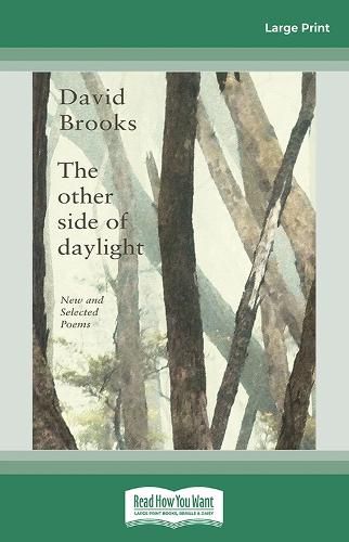Cover image for The Other Side of Daylight