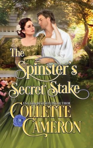 Cover image for The Spinster's Secret Stake