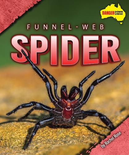 Cover image for Funnel-Web Spider