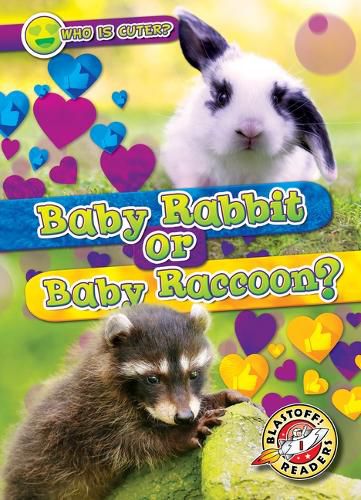 Cover image for Baby Rabbit or Baby Raccoon?