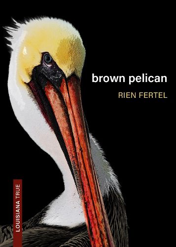 Cover image for Brown Pelican