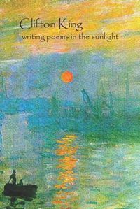 Cover image for writing poems in the sunlight