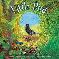 Cover image for Little Bird