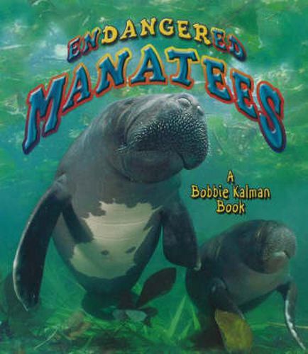 Cover image for Endangered Manatees and Dugongs