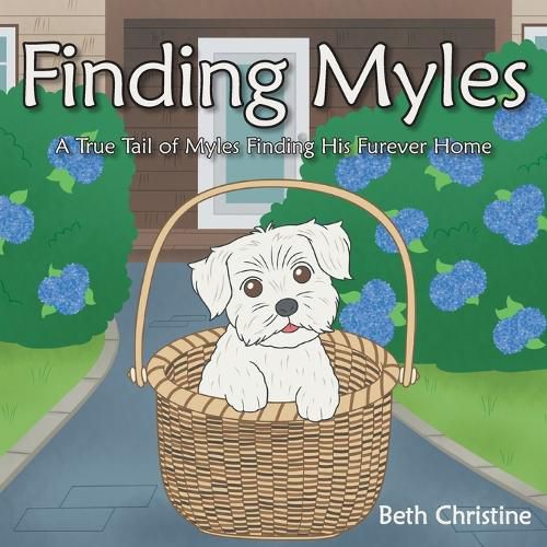 Cover image for Finding Myles