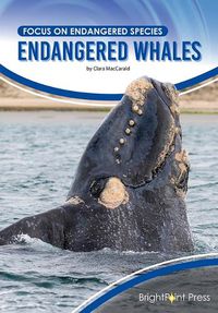 Cover image for Endangered Whales