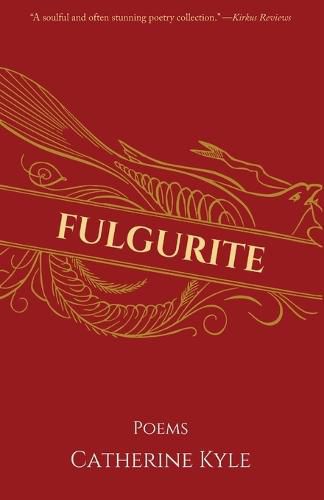 Cover image for Fulgurite