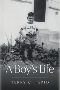 Cover image for A Boy's Life