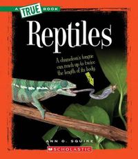 Cover image for Reptiles (a True Book: Animal Kingdom)