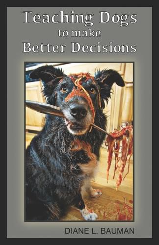 Cover image for Teaching Dogs to make Better Decisions